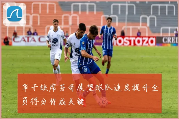 华子缺席芬奇展望球队速度提升全员得分将成关键
